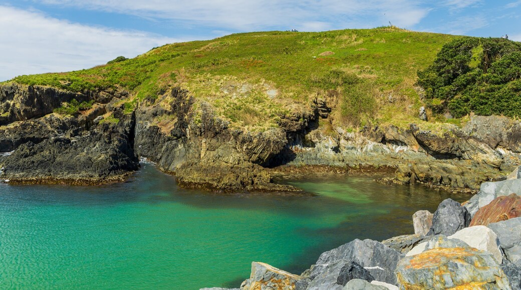 Muttonbird Island Nature Reserve featuring rocky coastline and general coastal views