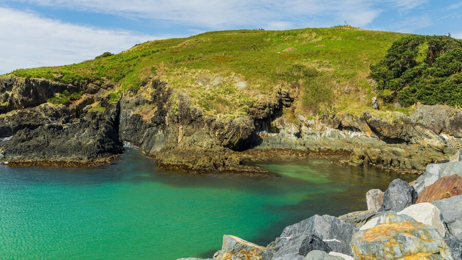 Muttonbird Island Nature Reserve featuring rocky coastline and general coastal views