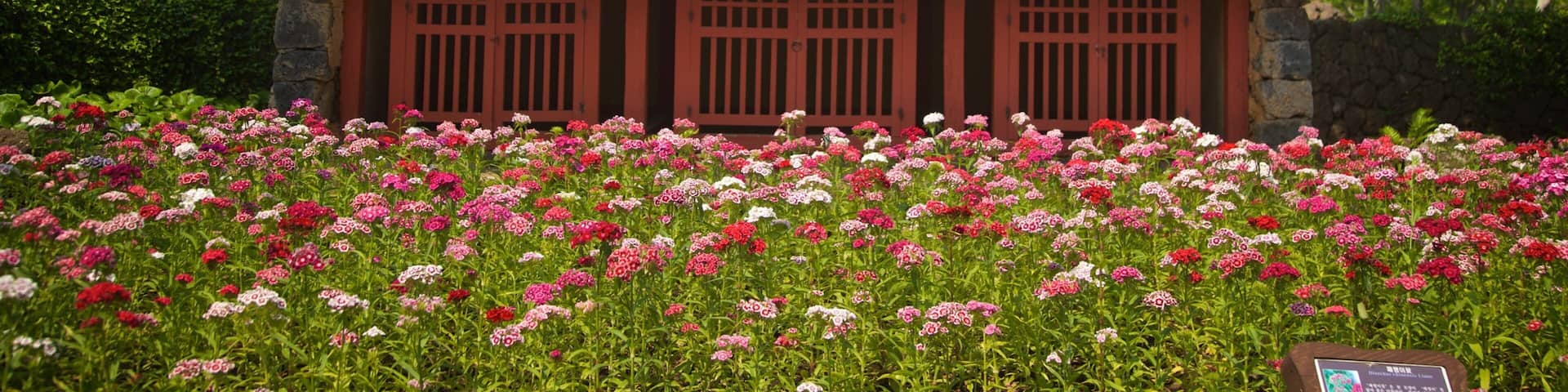 Jeju Folk Village Museum which includes heritage elements and wildflowers