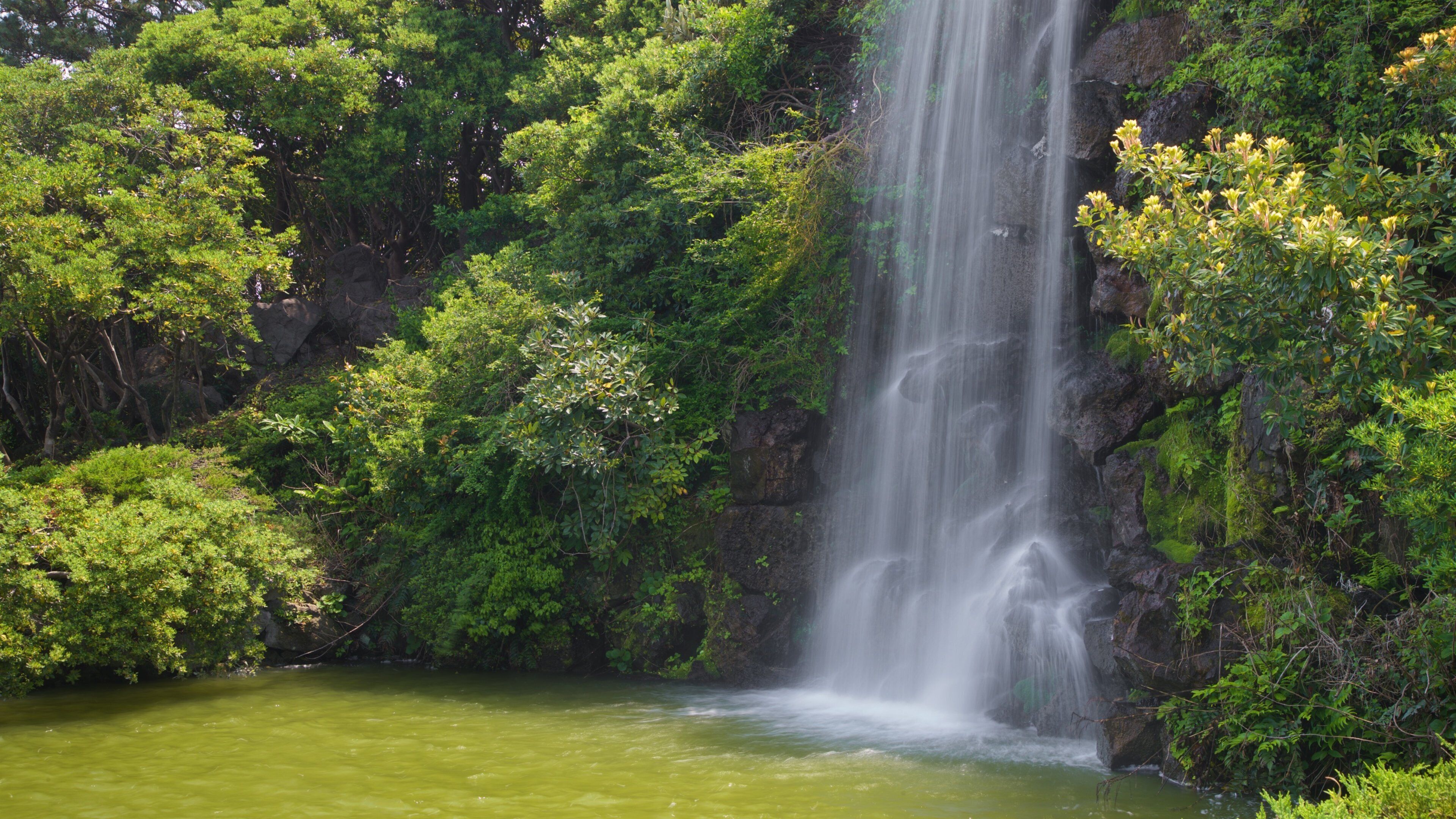 Jeju Folk Village Museum which includes a lake or waterhole and a cascade
