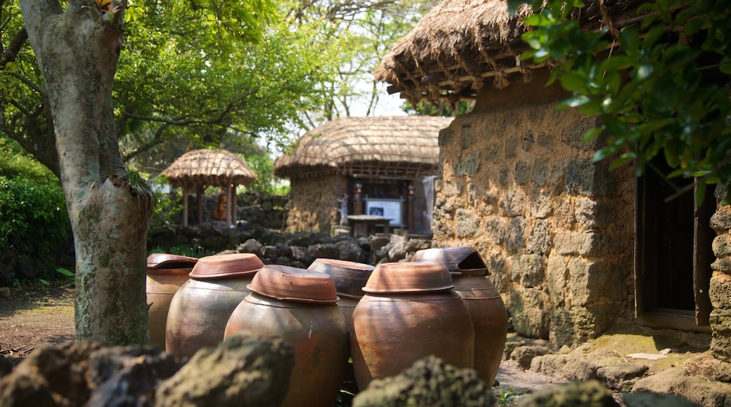 Jeju Folk Village Museum which includes a small town or village