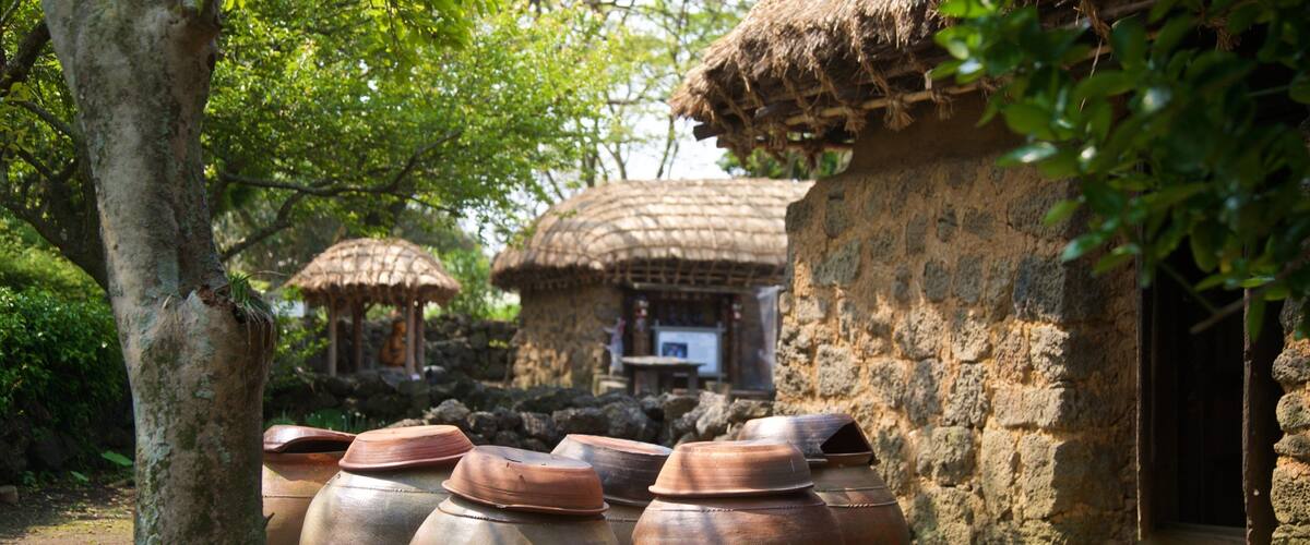 Jeju Folk Village Museum which includes a small town or village