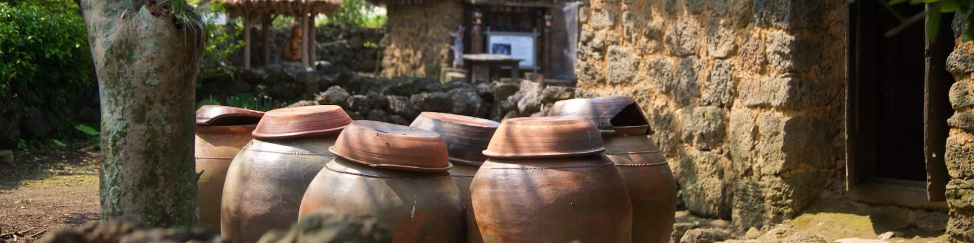 Jeju Folk Village Museum which includes a small town or village