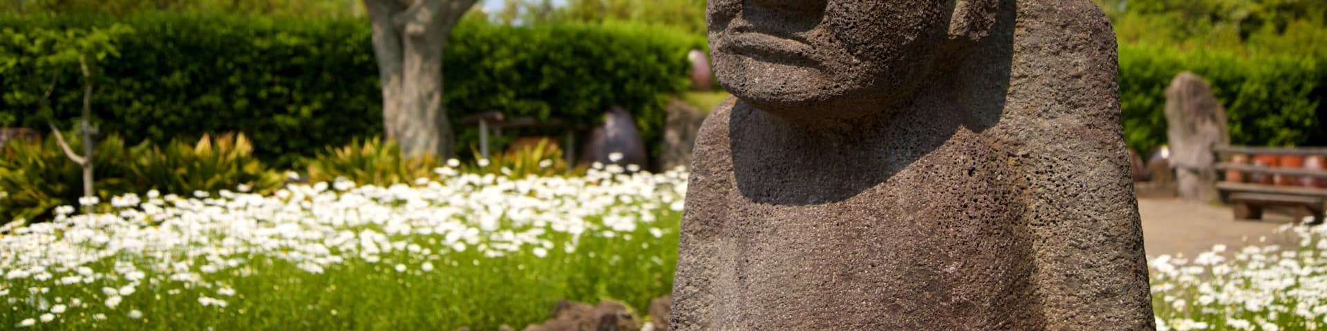 Jeju Folk Village Museum which includes a statue or sculpture, wildflowers and heritage elements