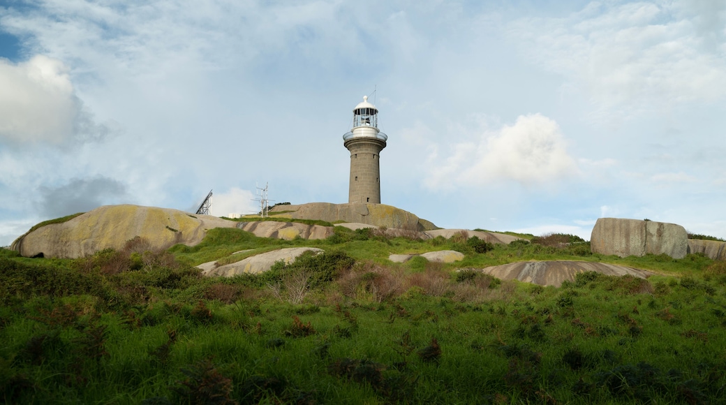 جزيرة مونتاجيو