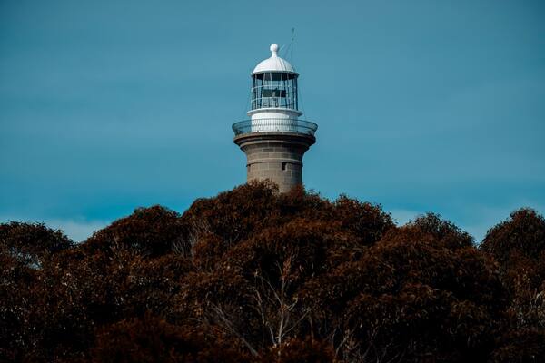 Montague Island Lighthouse Nature Wildlife Reserve New South Wales Australia