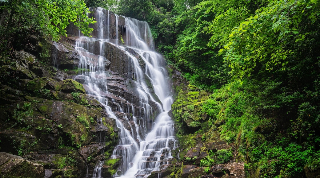 North Carolina Waterfall near Rosman and Brevard - Eastatoe Falls