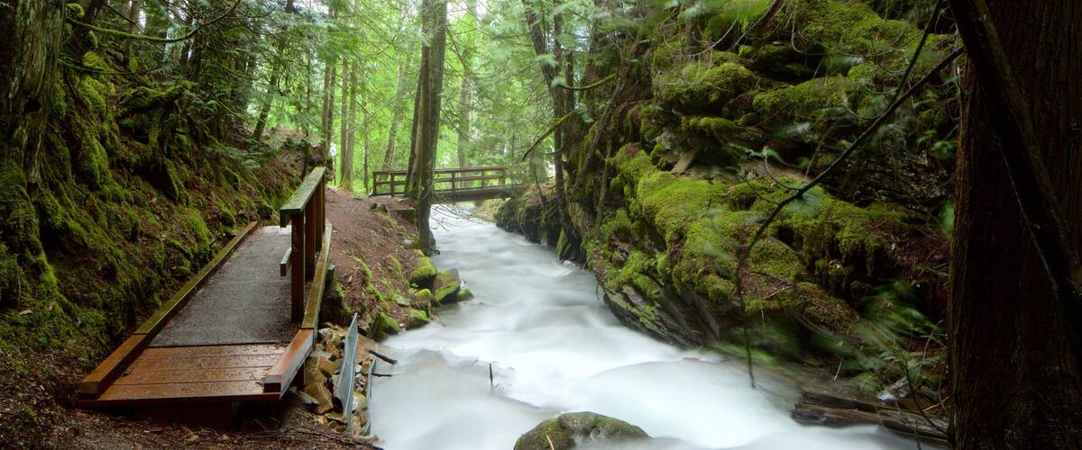Kaslo which includes rapids, a bridge and forests