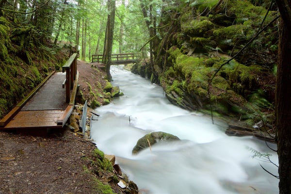 Kaslo mettant en vedette rapides, forĂȘts et pont