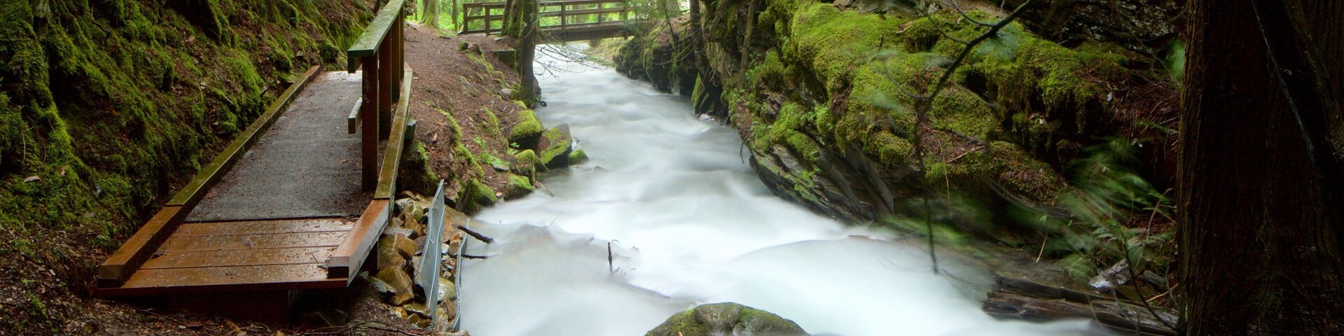 Kaslo which includes rapids, a bridge and forest scenes