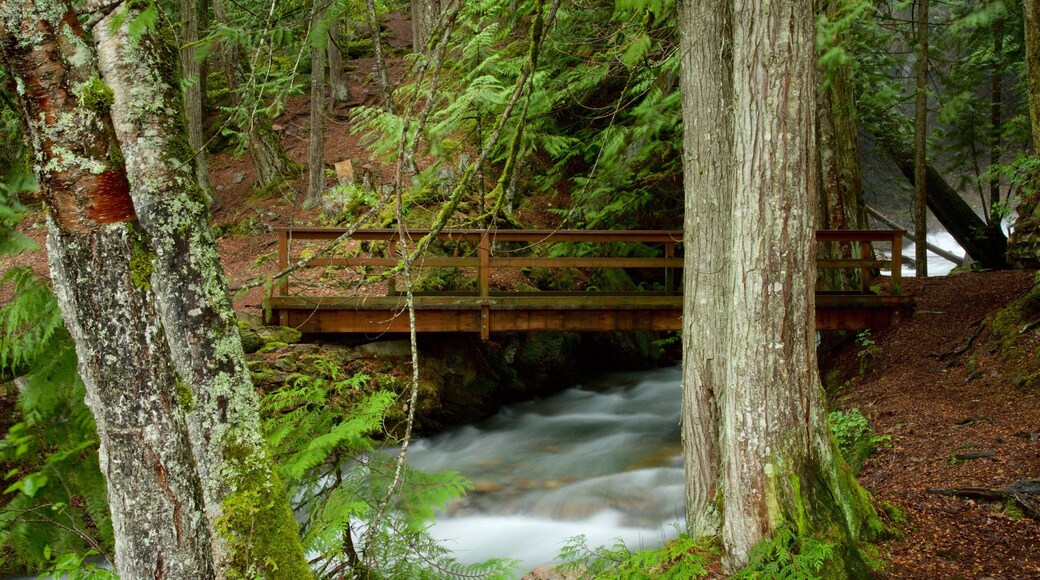 Kaslo fasiliteter samt fossestryk, bro og skoglandskap