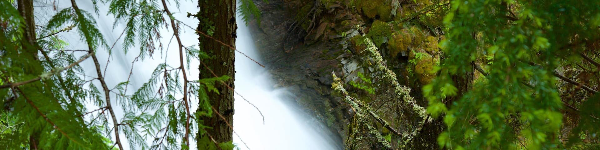 Kaslo montrant une cascade