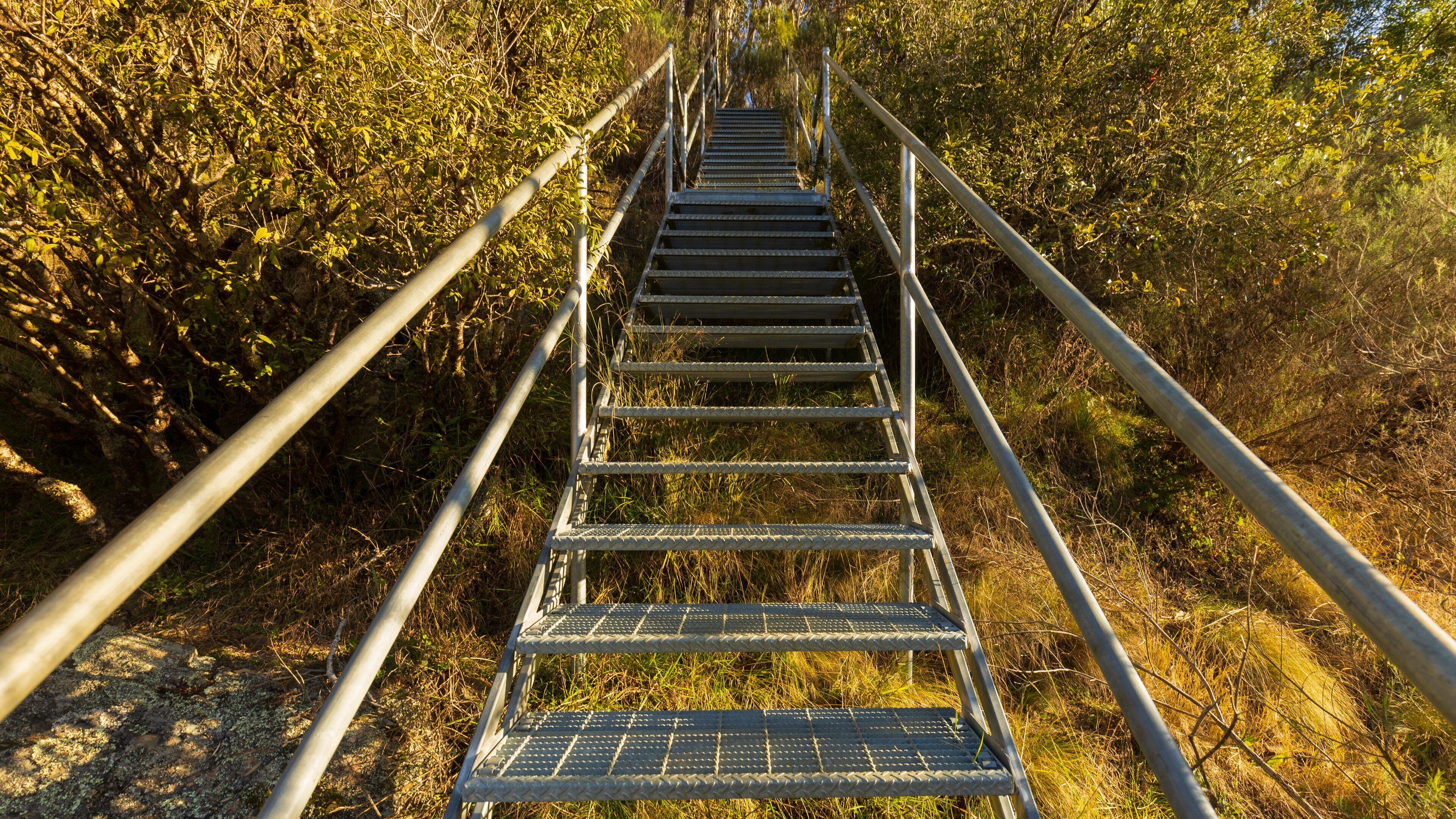 Wollomombi Falls which includes tranquil scenes