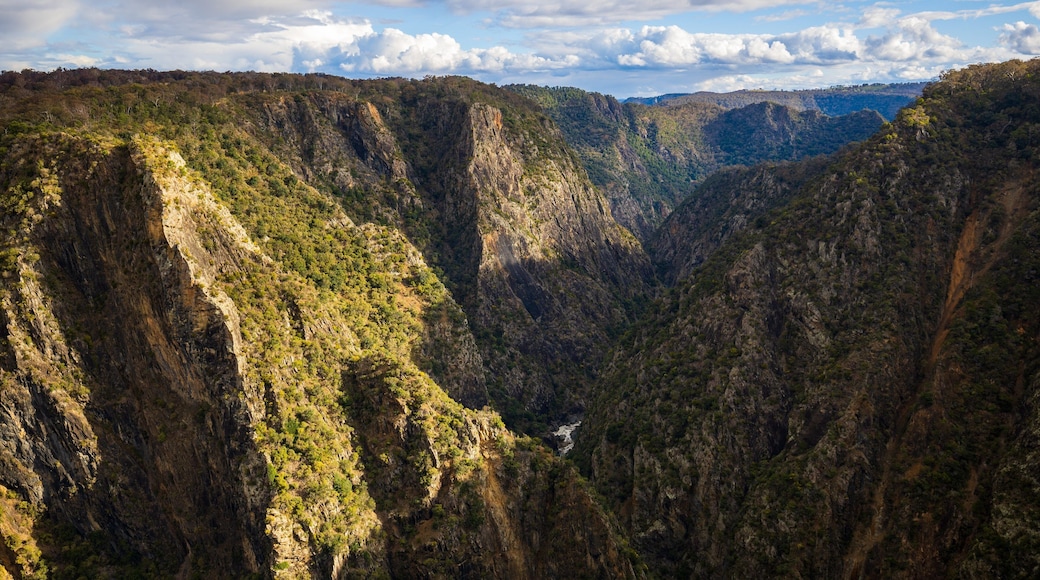 Wollomombi Falls featuring landscape views, a gorge or canyon and tranquil scenes