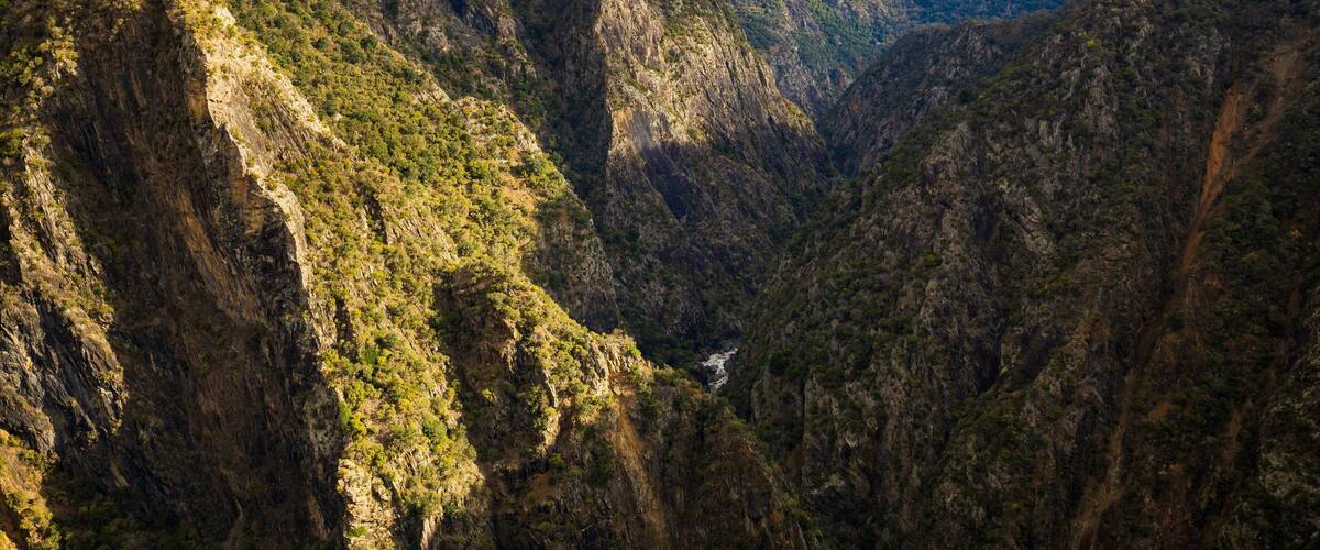 Wollomombi Falls featuring landscape views, a gorge or canyon and tranquil scenes