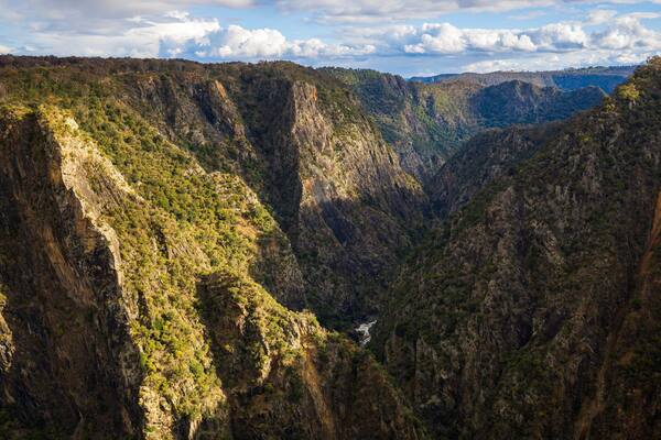 Wollomombi Falls featuring landscape views, a gorge or canyon and tranquil scenes