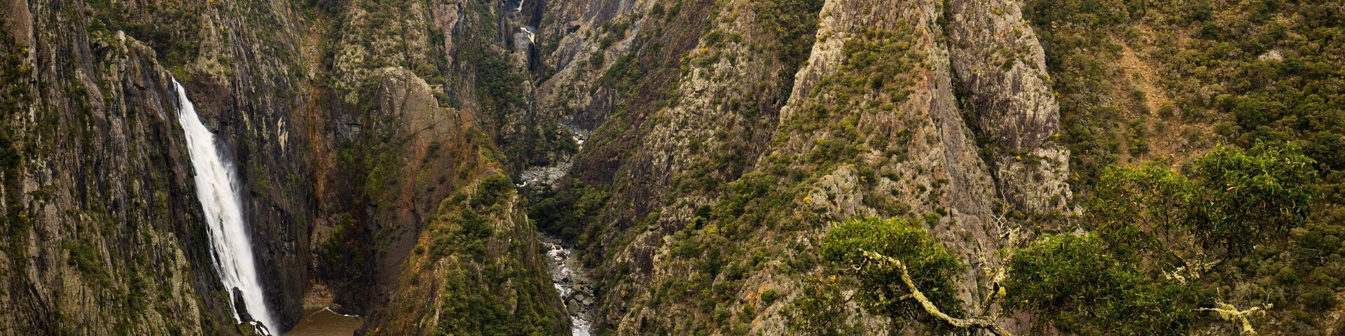 Wollomombi Falls which includes a cascade, a gorge or canyon and landscape views