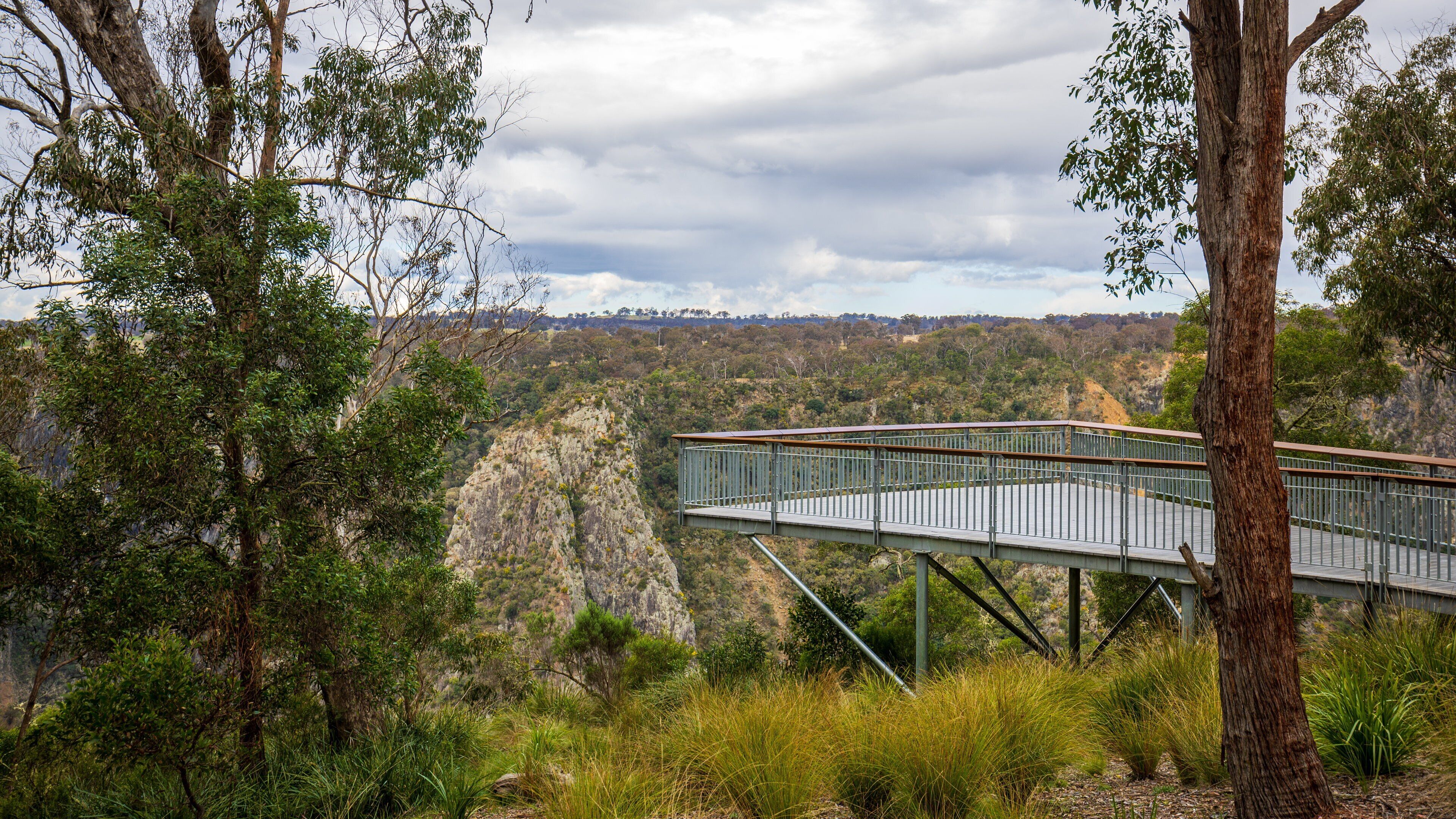 Wollomombi Falls which includes tranquil scenes and views