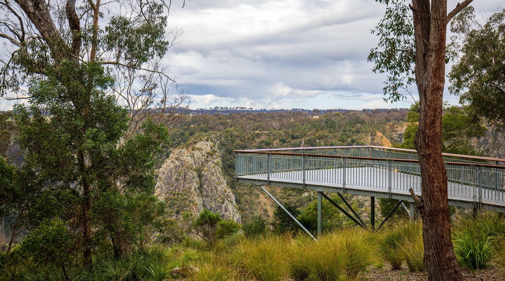 Wollomombi Falls which includes tranquil scenes and views