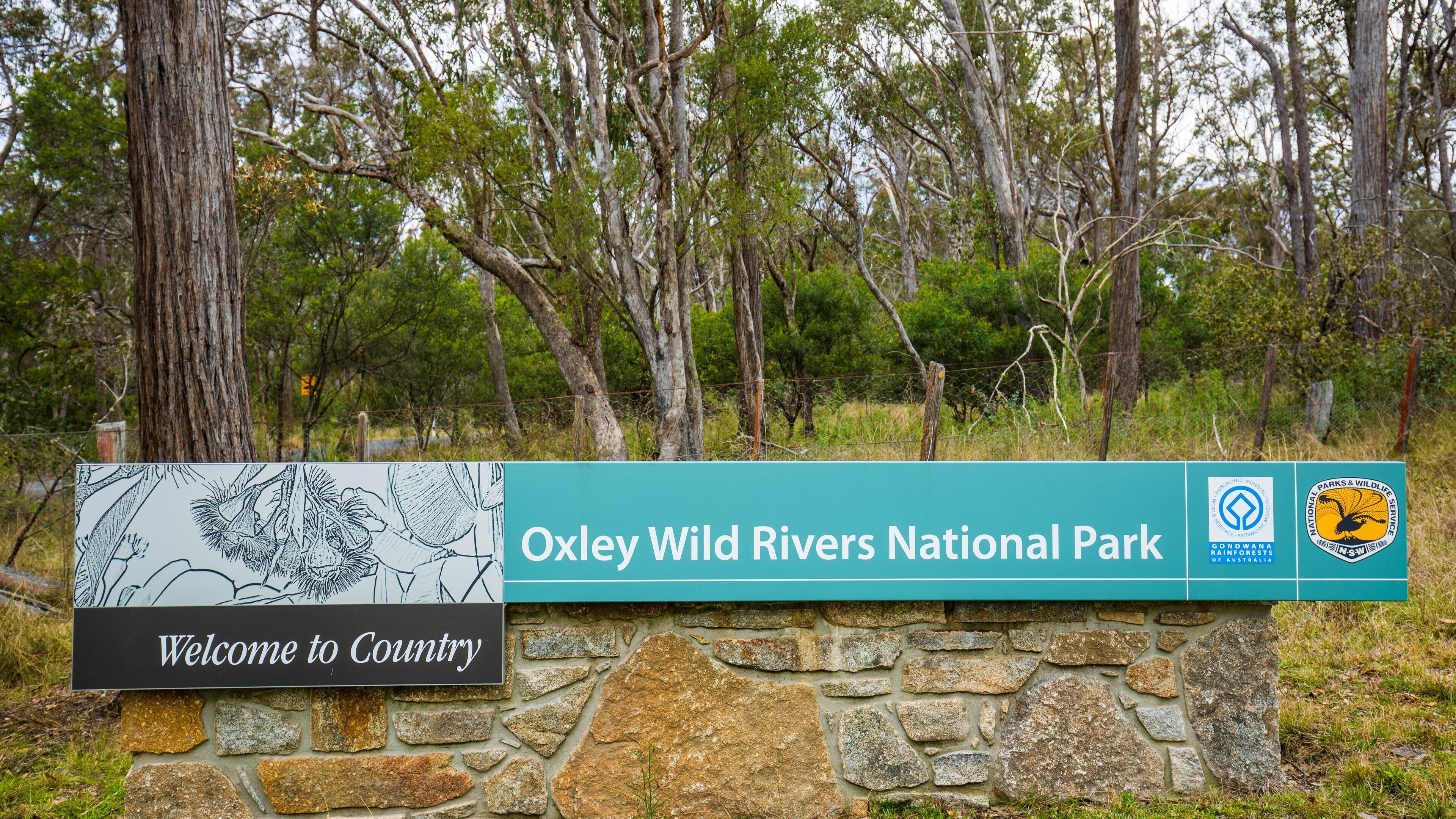 Wollomombi Falls featuring signage and forest scenes