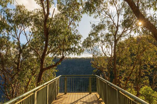 Wollomombi Falls which includes tranquil scenes and views