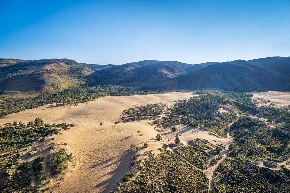 A vast desert landscape with sparse vegetation, surrounded by forested hills under a clear blue sky.