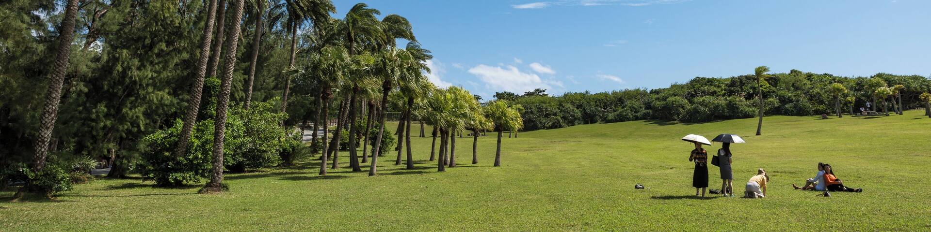 A grassy field with palm trees and people.