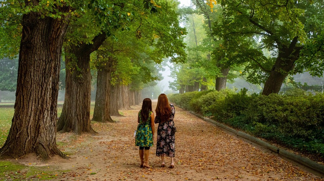 Albury Botanic Gardens featuring a park as well as a couple