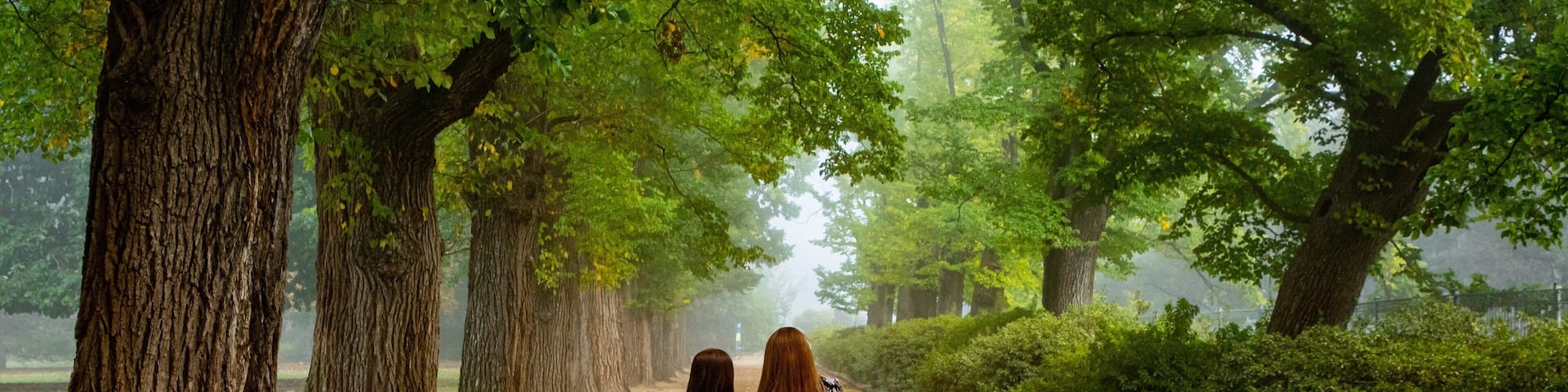 Albury Botanic Gardens featuring a park as well as a couple
