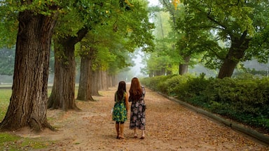 Albury Botanic Gardens featuring a park as well as a couple