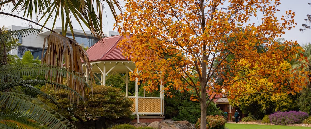 Albury Botanic Gardens featuring autumn leaves and a park
