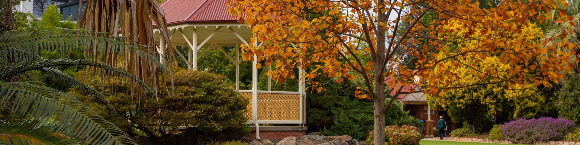 Albury Botanic Gardens featuring autumn leaves and a park
