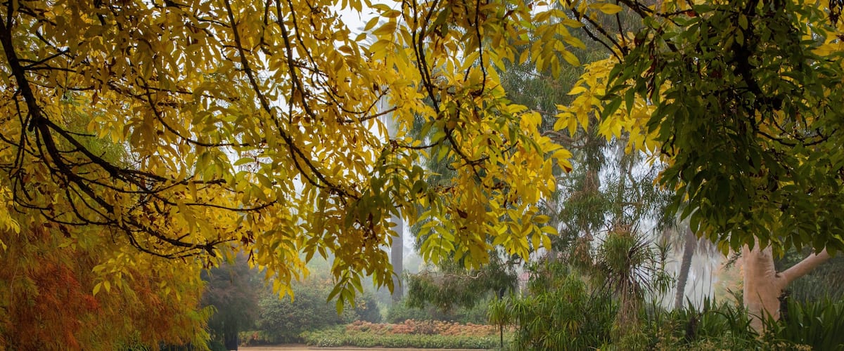 Albury Botanic Gardens featuring a park