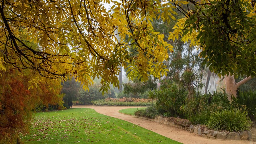 Albury Botanic Gardens featuring a park
