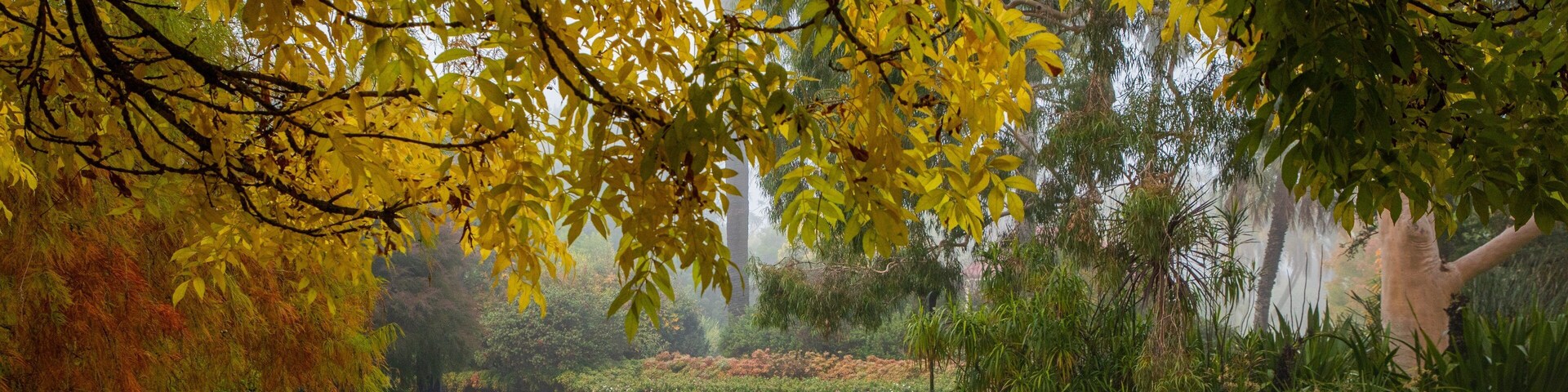Albury Botanic Gardens featuring a park