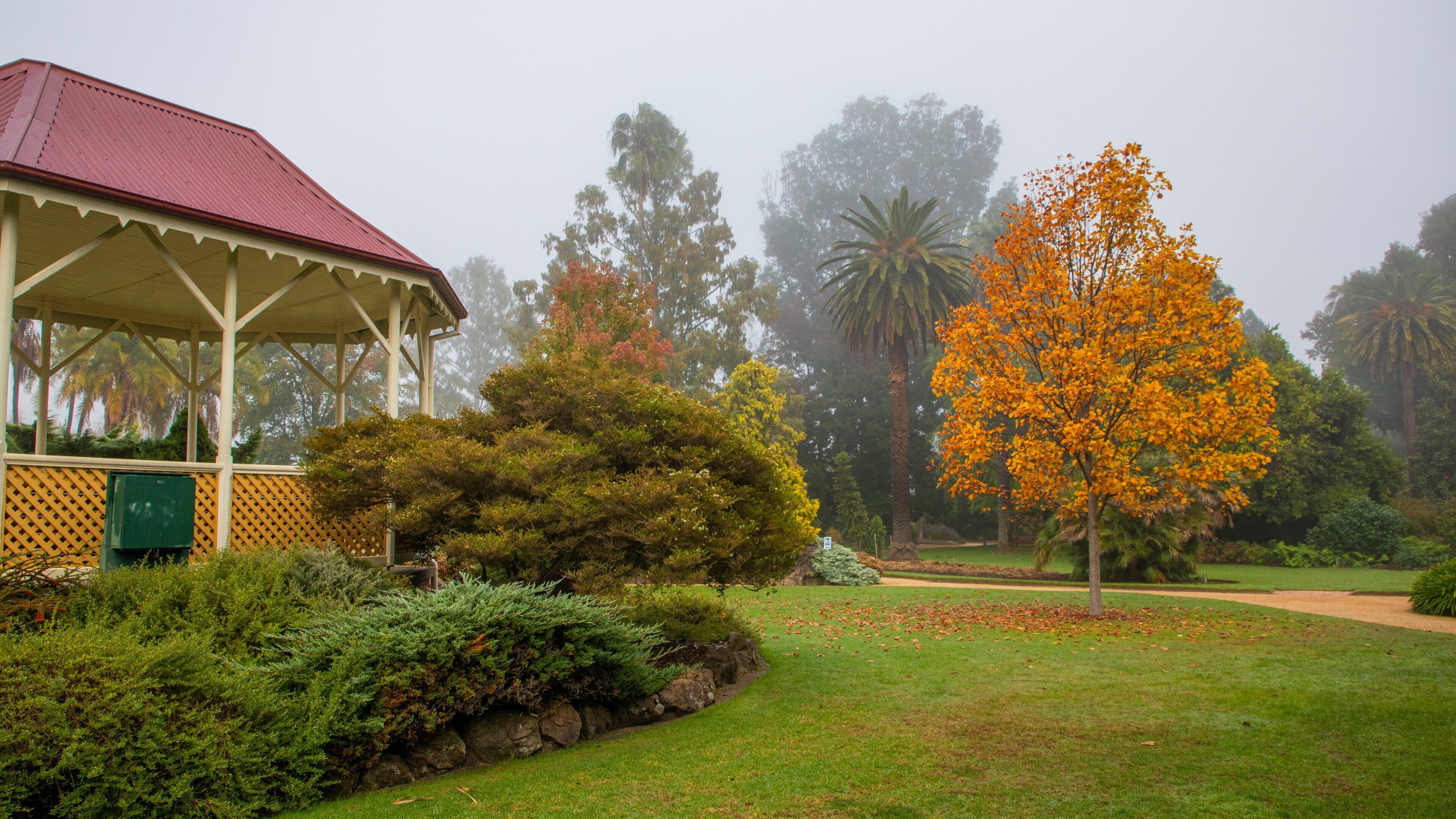 Albury Botanic Gardens featuring a garden