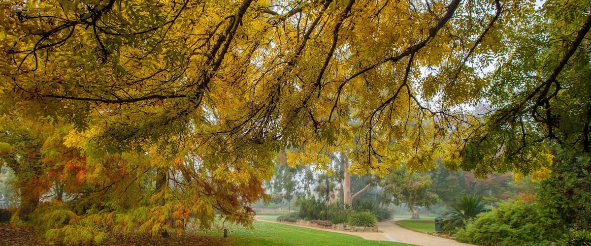 Albury Botanic Gardens featuring a garden