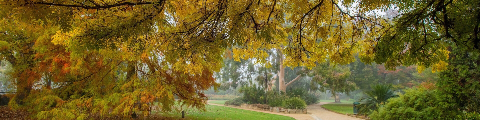 Albury Botanic Gardens featuring a garden