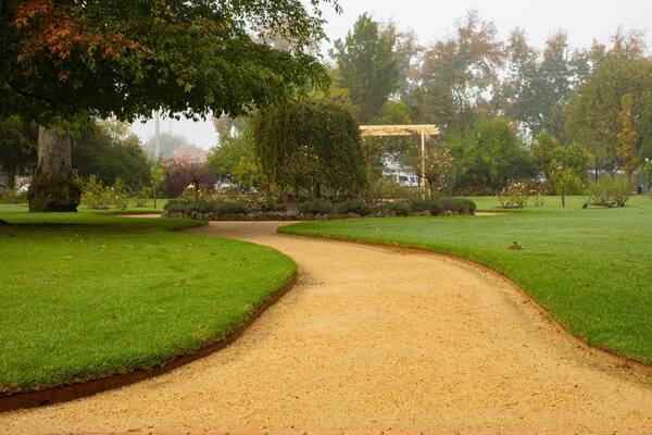 Albury Botanic Gardens showing a park