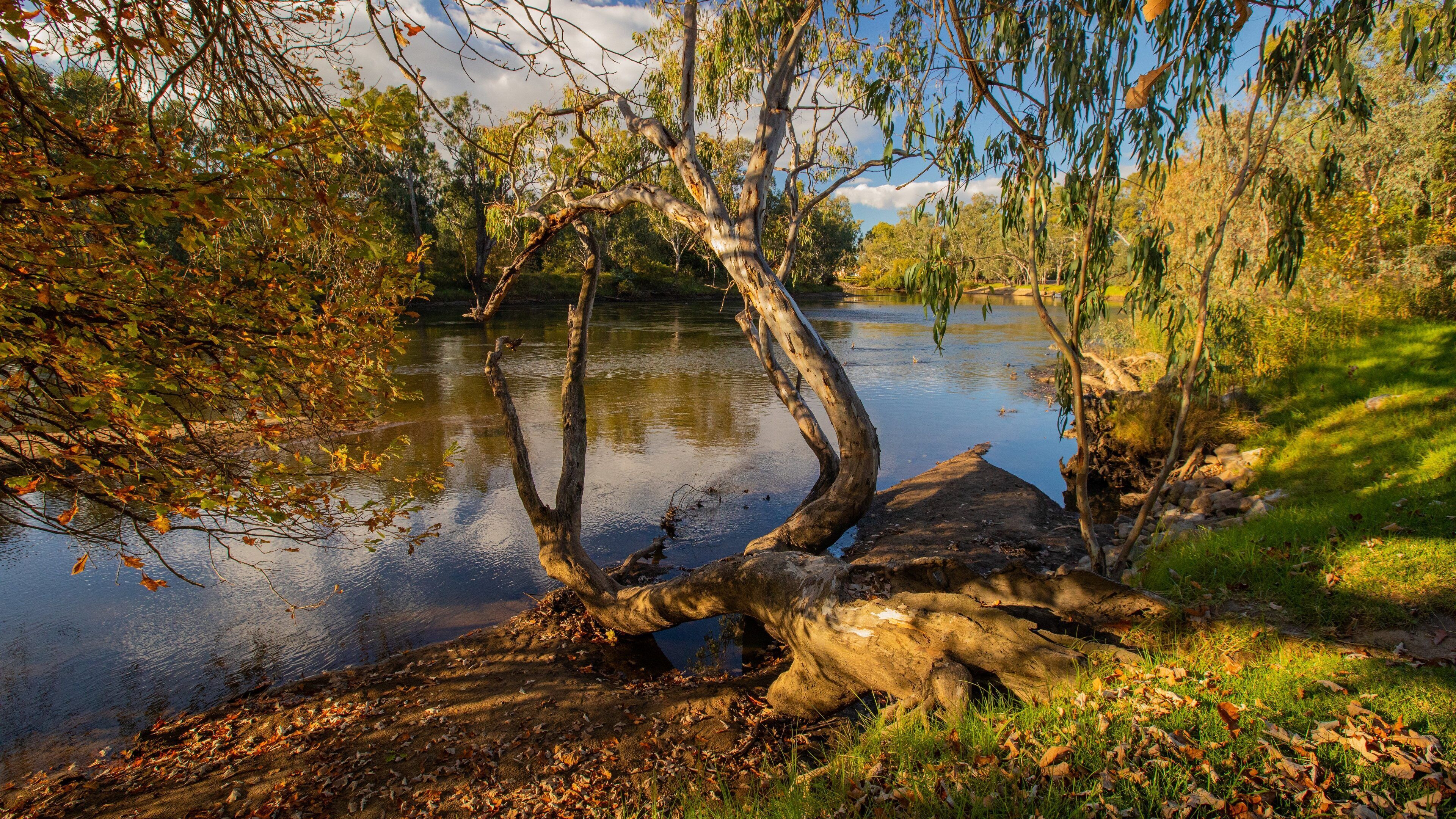 Noreuil Park featuring a river or creek