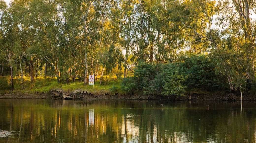 Albury which includes a pond