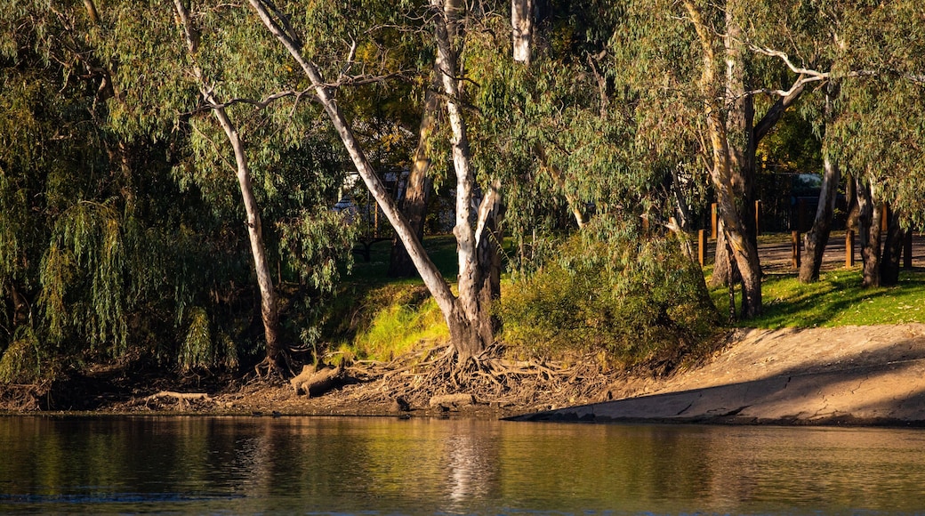 Noreuil Park showing a pond