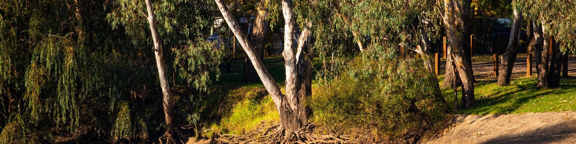 Noreuil Park showing a pond