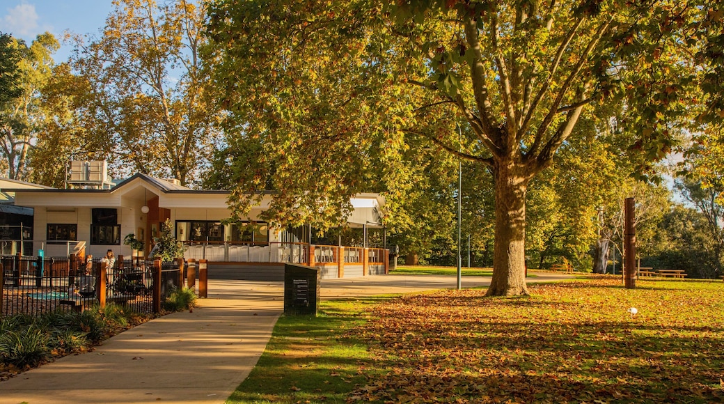 Albury showing a park and autumn leaves