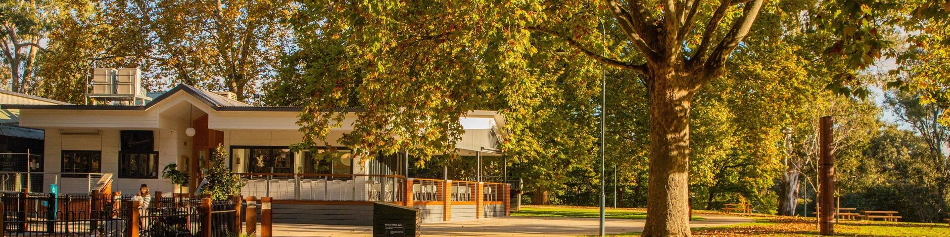A park with a large tree, a building with outdoor seating, and a pathway.