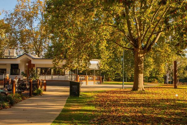 Albury showing a park and autumn leaves