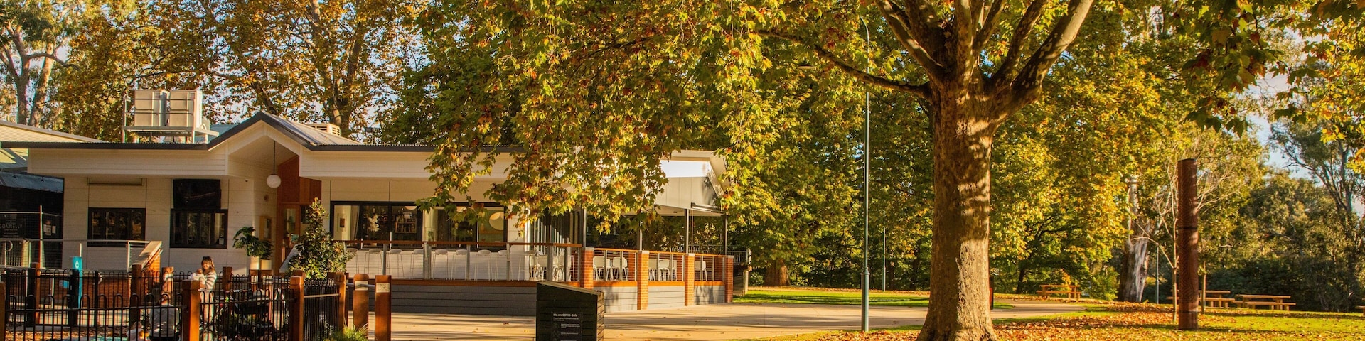 Albury showing a park and autumn leaves