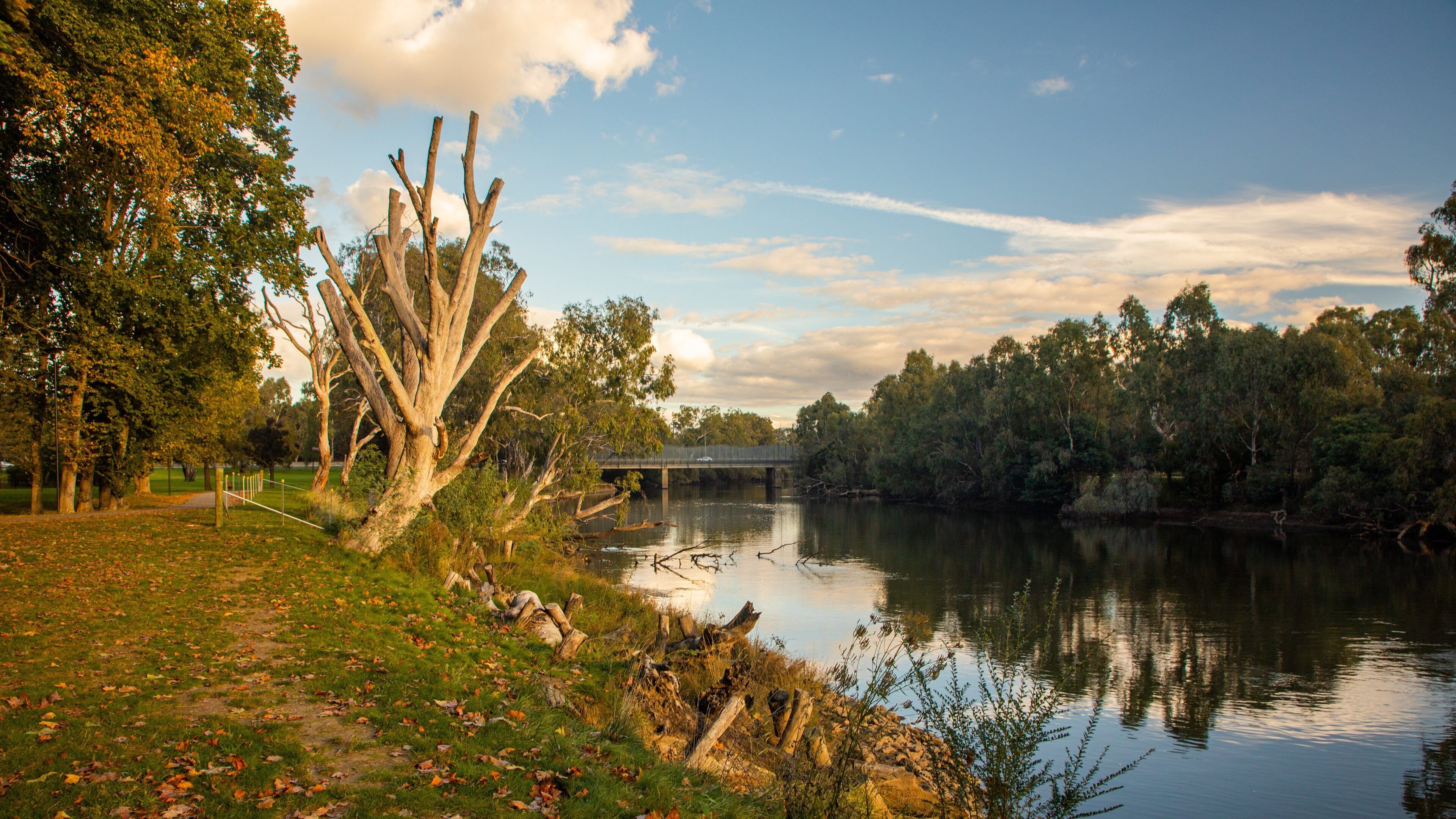 Albury featuring a sunset and a river or creek