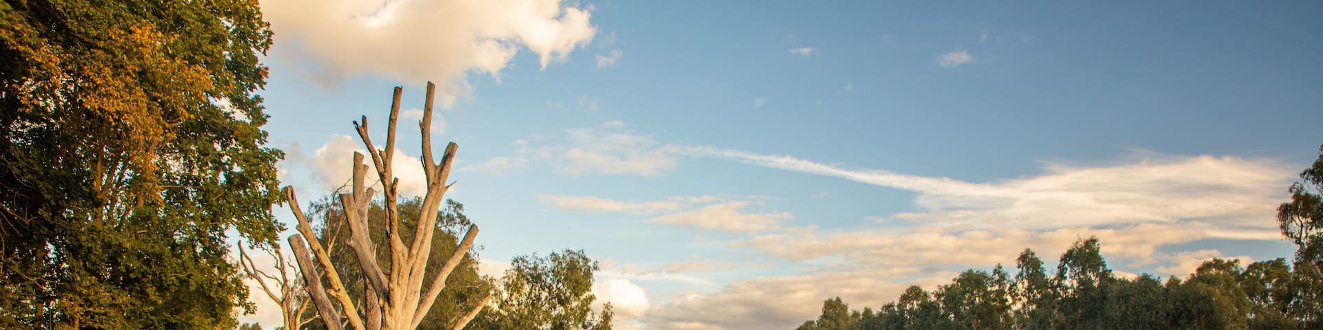 Albury featuring a sunset and a river or creek