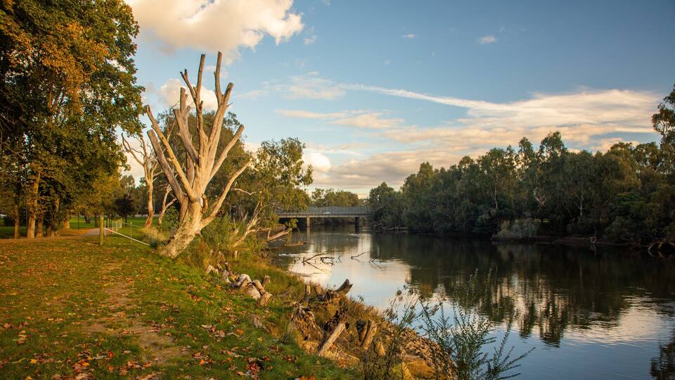 Albury featuring a sunset and a river or creek